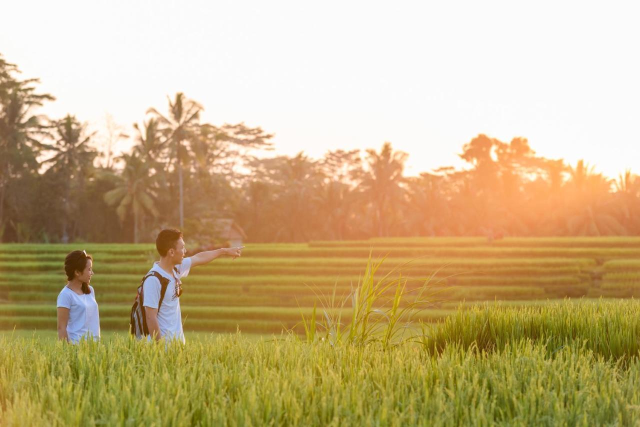 Cenik Ubud